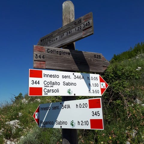 Monte Navegna e Cervia